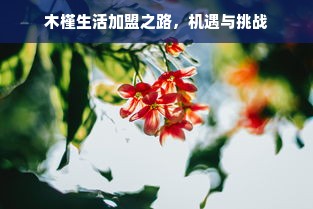 木槿生活加盟之路，机遇与挑战