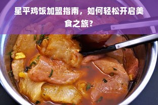 星平鸡饭加盟指南，如何轻松开启美食之旅？