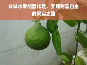 众诚水果加盟代理，实现财富自由的果实之路