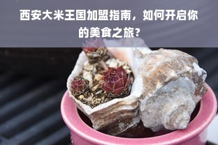 西安大米王国加盟指南，如何开启你的美食之旅？