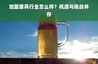 加盟餐具行业怎么样？机遇与挑战并存