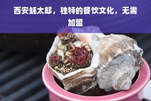 西安蚝太郎，独特的餐饮文化，无需加盟