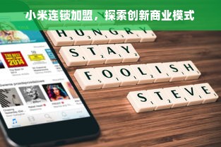 小米连锁加盟，探索创新商业模式