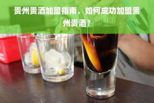 贵州贵酒加盟指南，如何成功加盟贵州贵酒？