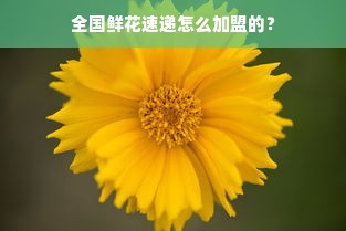 全国鲜花速递怎么加盟的？