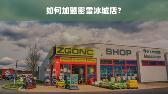 如何加盟密雪冰城店？