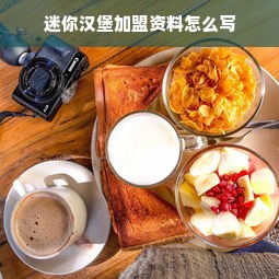 迷你汉堡加盟资料怎么写