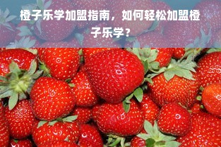 橙子乐学加盟指南，如何轻松加盟橙子乐学？