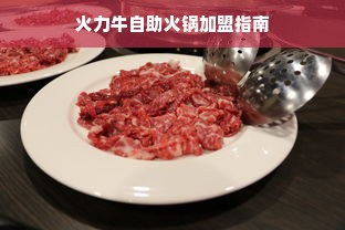 火力牛自助火锅加盟指南