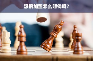 想搞加盟怎么赚钱吗？