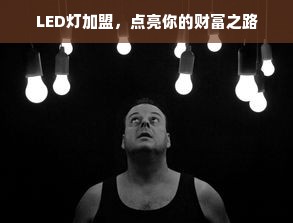 LED灯加盟，点亮你的财富之路