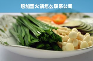 想加盟火锅怎么联系公司