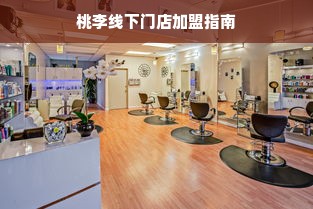 桃李线下门店加盟指南