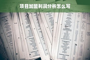 项目加盟利润分析怎么写