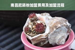 南昌肥肠粉加盟费用及加盟流程