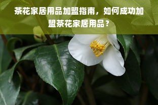 茶花家居用品加盟指南，如何成功加盟茶花家居用品？