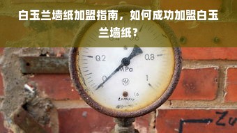 白玉兰墙纸加盟指南，如何成功加盟白玉兰墙纸？