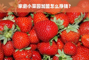 家庭小菜园加盟怎么挣钱？