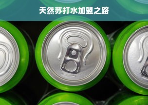 天然苏打水加盟之路