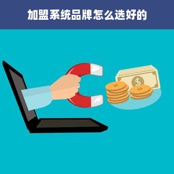 加盟系统品牌怎么选好的