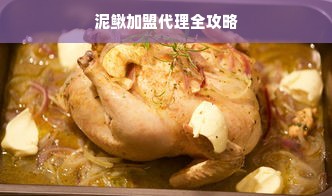 泥鳅加盟代理全攻略