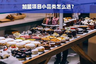 加盟项目小品类怎么选？