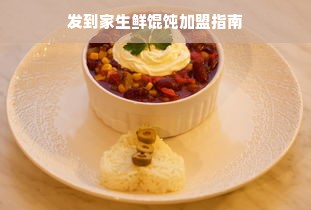 发到家生鲜馄饨加盟指南