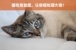 猫吃鱼加盟，让你轻松赚大钱！