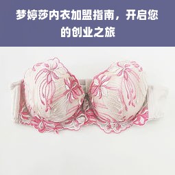 梦婷莎内衣加盟指南，开启您的创业之旅