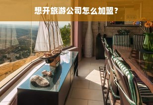 想开旅游公司怎么加盟？