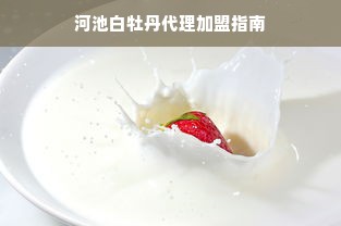 河池白牡丹代理加盟指南