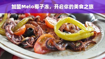 加盟Melo椰子冻，开启你的美食之旅