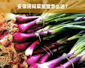 安徽民间菜加盟怎么选？