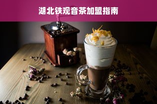 湖北铁观音茶加盟指南