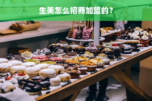 生美怎么招商加盟的？